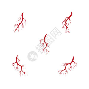 人体静脉和动脉插图设计眼球血管解剖学生物学眼睛医疗宏观药品标识红色图片