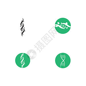 设置 Dna 徽标模板 vecto技术基因组基因染色体健康遗传代码螺旋生物学药品图片