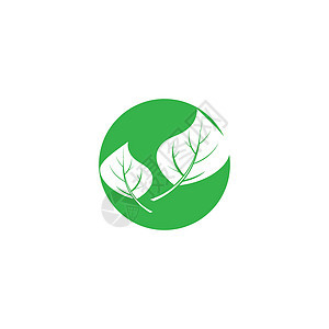 素食主义者标志模板矢量符号叶子圆圈商业健康餐厅绿色标识生态菜单食物背景图片