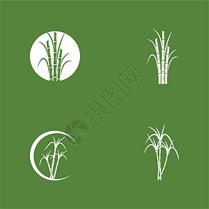 甘蔗 Logo 模板矢量符号横幅标识生物食物热带标签叶子收成植物插图图片