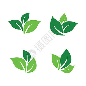 叶符号矢量图标和符号品牌平衡绿色生物艺术回收推广环境企业生态图片
