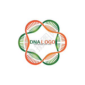 Dna 矢量标志设计模板 现代医学标识 实验室科学图标符号 彩色药理学标志vecto染色体基因组生物学细胞插图代码身份技术化学螺图片