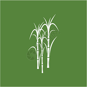 甘蔗 Logo 模板矢量符号标签叶子热带果汁插图绿色产品贴纸植物收成图片