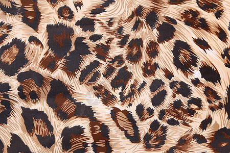 具有豹纹纹理的抽象棉布野生动物打印动物织物条纹情调墙纸荒野老虎图片