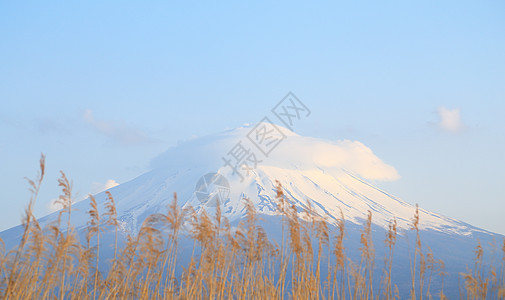 藤山 川口湖风景火山植物阳光冰镇日落顶峰旅行公吨天空蓝色图片