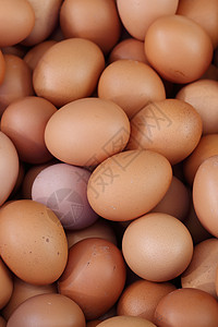 供市场销售的新鲜鸡蛋烹饪食物圆形早餐农场黄色蛋壳团体贮存图片