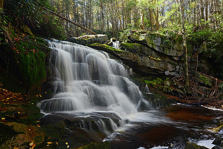 西弗吉尼亚州瀑布流动绿色黑色瀑布公园森林岩石图片