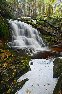西弗吉尼亚州瀑布流动瀑布黑色绿色公园岩石森林图片