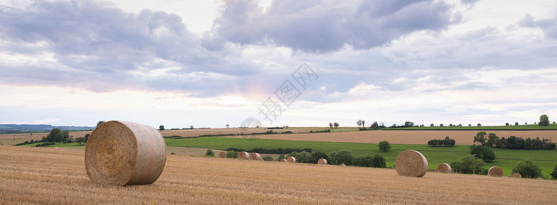 整个全法国地貌景观 法兰西的草丛阳光薄雾干草蓝色日落稻草农业金子草地场地图片