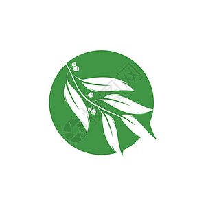 桉树叶标志矢量模板设计植物香气桉树植物学生态草药叶子防腐剂标识绿叶图片