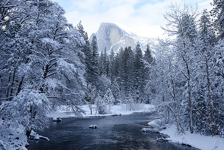 Yosemite 冬季国家白色黑色森林草地公园环境松树风景旅游图片