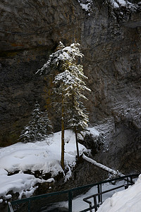 约翰斯顿峡谷 冬雪班夫岩石风景白色公园远足国家悬崖人行道踪迹小路图片