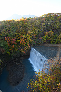 日本东北附近有水坝的秋天风景公园旅游黄色红色瀑布森林环境溪流叶子峡谷图片