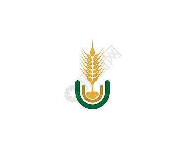 小麦矢量图标它制作图案面包金子粮食质量收成耳朵谷物面粉农业麸质图片