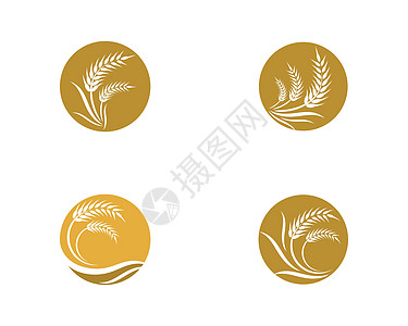 小麦矢量图标它制作图案种子收成营养横幅面包标签农场饮食谷物植物图片