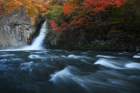 秋色的东北瀑布溪流峡谷季节风景旅行白色叶子森林国家公园瀑布图片