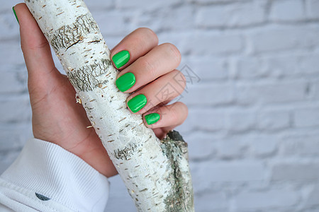修剪整齐的女性手与时尚的绿色指甲 时尚的现代设计美甲 凝胶指甲 皮肤护理 美容治疗 指甲保养 流行色沙龙手指化妆品指甲油抛光女士图片