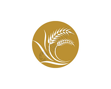 小麦矢量图标它制作图案面包种子生长麸质粮食食物农场横幅耳朵面粉图片