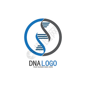 Dna 矢量标志设计模板 现代医学标识 实验室科学图标符号 彩色药理学标志vecto化学公司技术代码生活生物细胞基因染色体研究图片