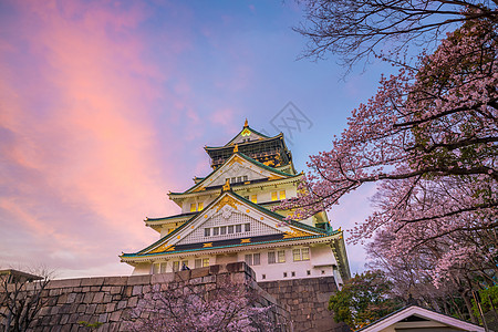 大阪樱花大阪城堡 樱花盛开背景