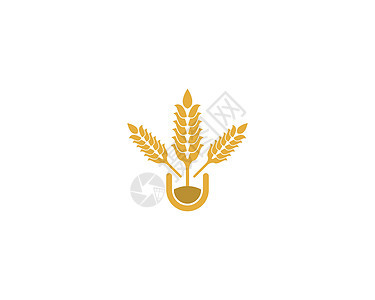 小麦矢量图标它制作图案标签种子谷物面粉耳朵金子麸质收成玉米粮食图片