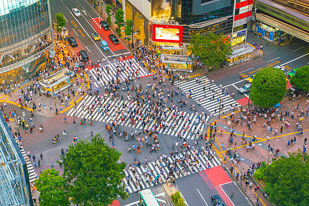 从东京的顶端观点跨越涉谷街道办公室购物路口行人建筑学市中心天线城市广告牌图片