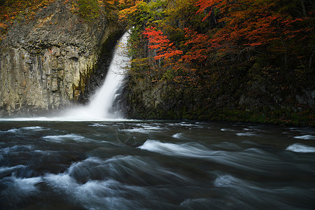 秋色的东北瀑布溪流风景峡谷国家森林公园绿色叶子季节瀑布白色图片
