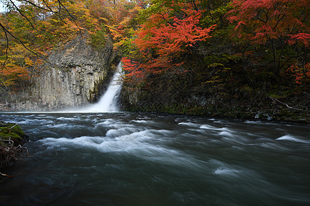 秋色的东北瀑布溪流森林公园季节峡谷瀑布绿色旅行白色叶子风景图片