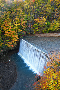 日本东北附近有水坝的秋天风景叶子红色溪流绿色瀑布黄色旅游公园旅行落叶图片
