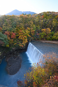 日本东北附近有水坝的秋天风景瀑布公园落叶溪流红色环境叶子峡谷旅游绿色图片