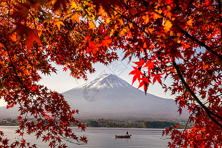 秋天富士山 有红青树叶旅行风景火山季节场景旅游地标天际反射公吨图片