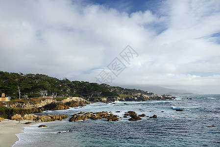 沿海一棵独树树林晴天海洋天空悬崖海岸海滩驾驶风景地平线图片