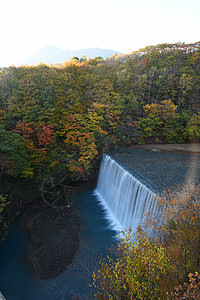 日本东北附近有水坝的秋天风景森林落叶绿色溪流叶子黄色峡谷旅行红色瀑布图片