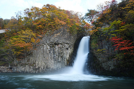 秋色的东北瀑布溪流叶子白色森林旅行国家季节瀑布绿色公园风景图片