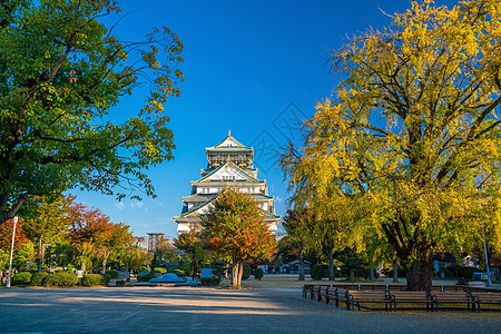 大阪大阪城堡吸引力建筑地标景观忍者观光遗产旅行博物馆石头图片