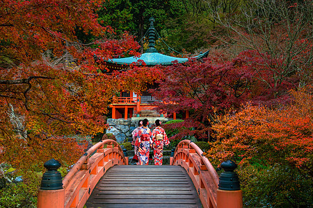 秋天 京都 大地寺庙和多彩的木瓜树叶子橙子旅行季节公园神社宗教浴衣醍醐植物图片