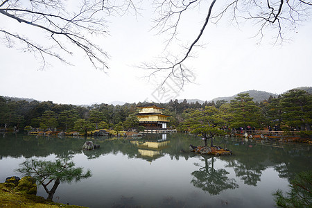 京都金金锦菊建筑地标花园寺庙森林建筑学公园旅行反射亭子图片