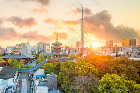 东京天线与森索济寺的视图宗教吸引力市中心景观天际历史佛教徒宝塔场景旅游图片