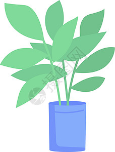 蓝色盆栽半扁平色矢量对象中的榕树植物图片
