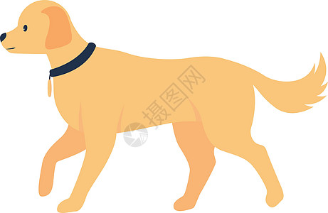 金毛猎犬采用半平面颜色矢量特征图片