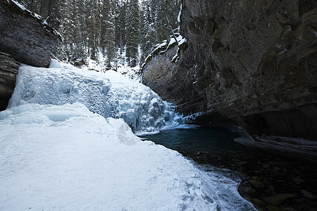 约翰斯顿峡谷与冬季雪在班夫远足小路白色旅行风景旅游国家公园踪迹人行道图片