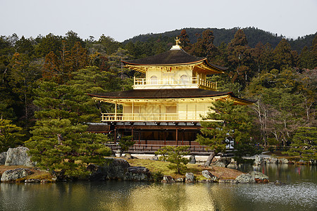 京都金金锦菊建筑反射佛教徒纪念碑金子花园文化旅行亭子旅游图片