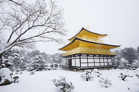 京角寺雪天气寺庙花园季节建筑金子旅游天空历史旅行图片