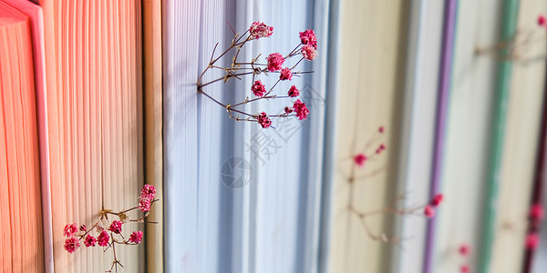 占地吉普堆积着婴儿呼吸花的旧书 舒适阅读 粉红色吉普西拉花 缓慢生活概念 与自然的统一 选择性焦点木头婴儿呼吸教育装饰季节阳光文学风格艺背景
