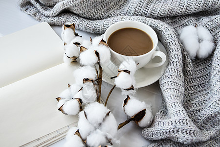 一杯咖啡 配有棉花工厂笔记本肉桂棒和白背景的Anise恒星 在周围滑雪者 冬晨例行活动 咖啡休息 复制空间格子桌子叶子毛衣情绪纺图片