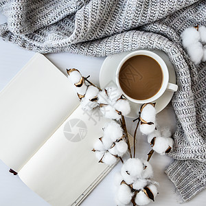 一杯咖啡 配有棉花植物笔记本肉桂棒和白背景的Anise恒星 周围是滑雪者 冬季早晨例行活动 休息咖啡 复制空间 顶部视图编织纺织图片