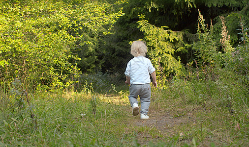 小男孩在森林中走在小路上图片