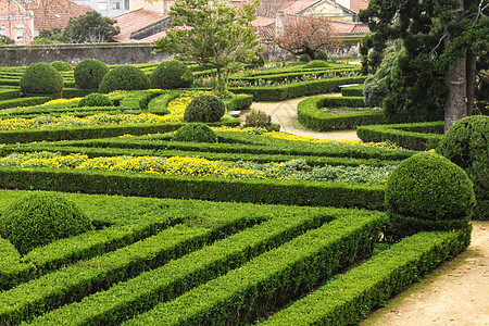 冬季顶级艺术花园植物绿化居住公园叶子石材园林植物园前院森林图片