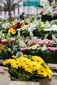 法国花市利尔店铺玫瑰园艺植物群紫色植物郁金香花束蓝色季节图片