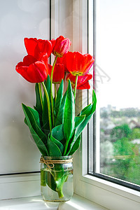 花瓶中的红色郁金香 在窗台上亮明 乡村风格 阳光下 复活节装饰的花束以开放背景阴影投标季节叶子薄雾静物玻璃花朵礼物窗户图片